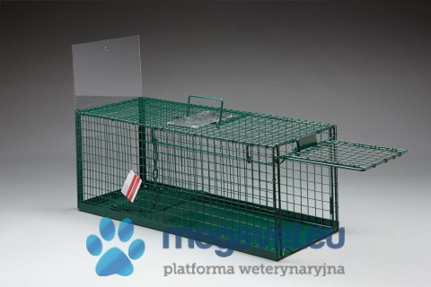 Zielona klatka pułapka na koty z pełną podłogą (BSM)