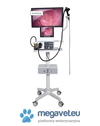 Endoskop elastyczny z wózkiem [SNL]