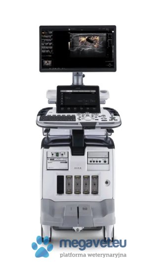 GE LOGIQ E10s (VIS) USG weterynaryjne