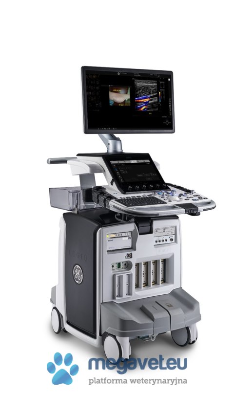 GE LOGIQ E10s (VIS) USG weterynaryjne