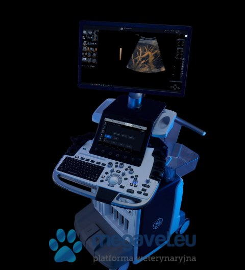 GE LOGIQ E10s (VIS) USG weterynaryjne