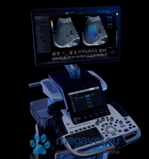 GE LOGIQ E10s (VIS) USG weterynaryjne