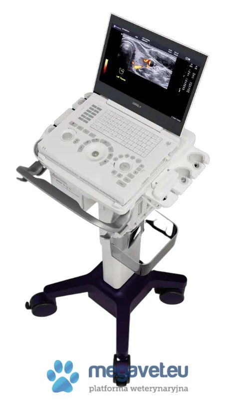 GE LOGIQ e (VIS) Ultrasonograf weterynaryjny