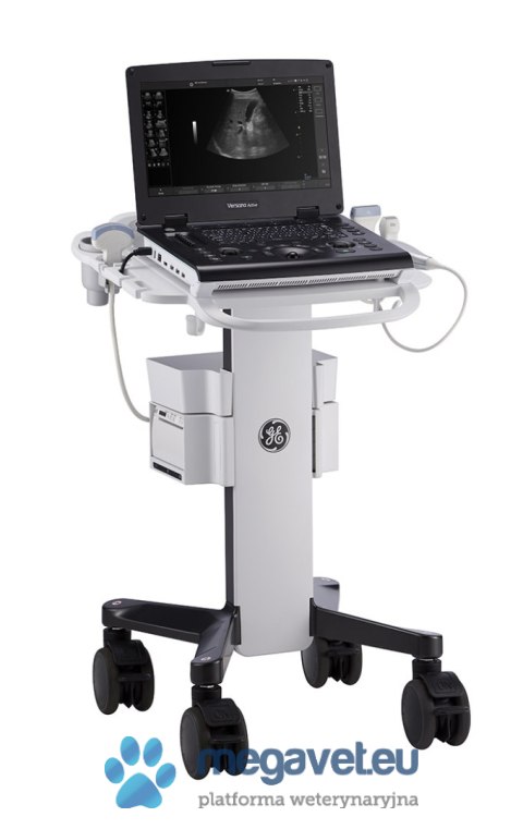 GE Versana Active (VIS) Ultrasonograf weterynaryjny