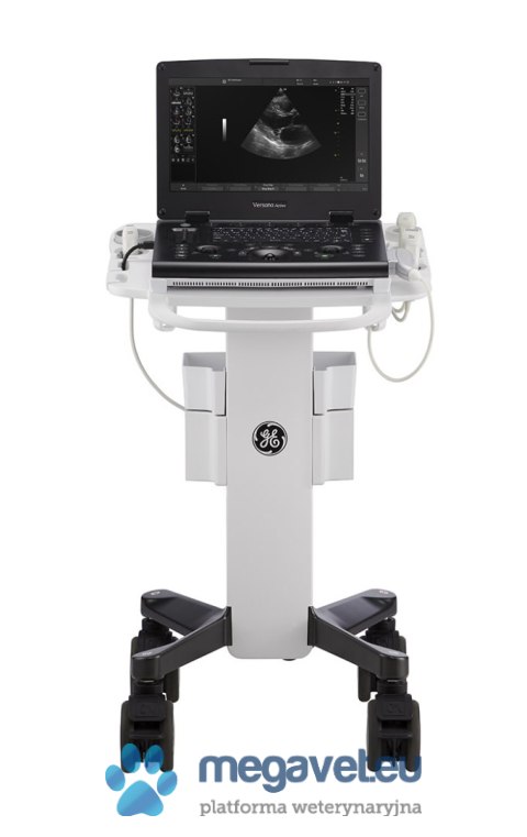 GE Versana Active (VIS) Ultrasonograf weterynaryjny