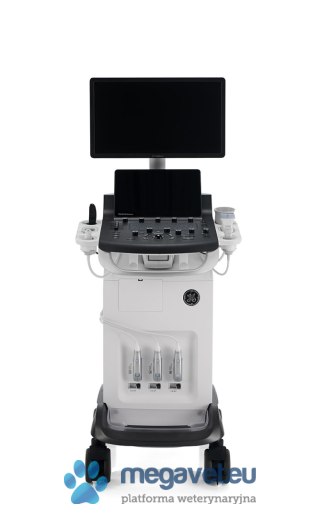 GE Versana Balance Vet (VIS) USG weterynaryjne