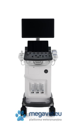 GE Versana Balance Vet (VIS) USG weterynaryjne