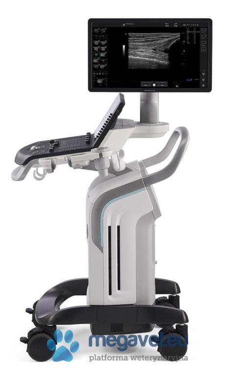 GE Versana Premier (VIS) USG weterynaryjne