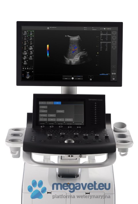 GE Versana Premier (VIS) USG weterynaryjne