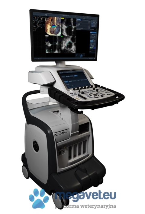 GE Vivid E95 (VIS) USG weterynaryjne