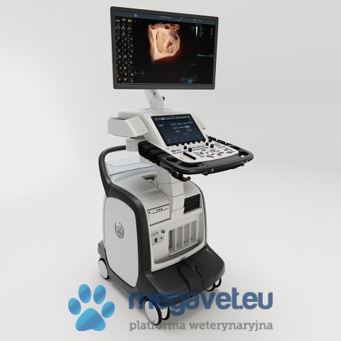 GE Vivid E95 (VIS) USG weterynaryjne