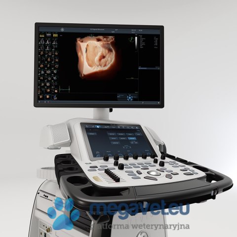 GE Vivid E95 (VIS) USG weterynaryjne