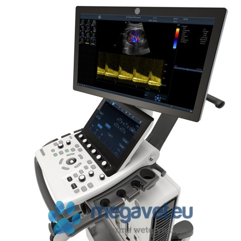 GE Vivid S70N (VIS) USG weterynaryjne