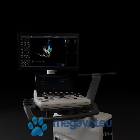 GE Vivid S70N (VIS) USG weterynaryjne