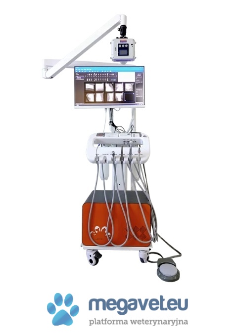 Stomatologiczna stacja robocza DTS-280 [SNL]