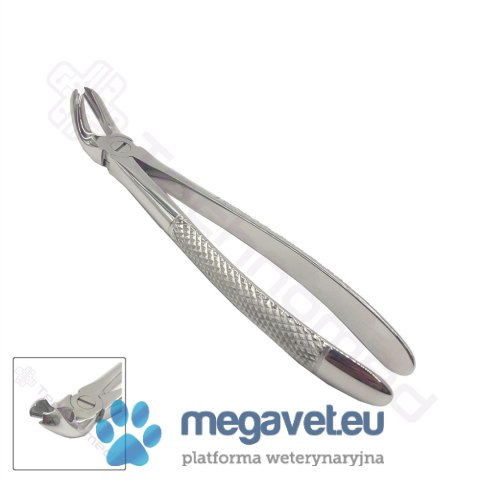 Kleszcze ekstrakcyjne rozm. 21 (TCM)