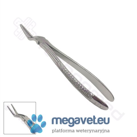 Kleszcze ekstrakcyjne rozm. 51XL (TCM)