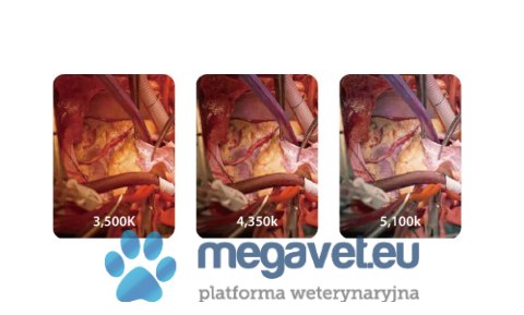 Mindray HyLED C50 Vet - Lampa Chirurgiczna Premium (MWT)