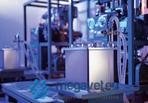 Mindray VetiX S380 (Radiologia stacjonarna) (MWT)