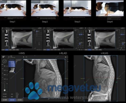 Mindray VetiPad M1 (Radiologia mobilna/akwizycyjna) (MWT)