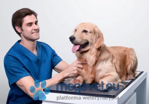 Mindray VetiPad M1 (Radiologia mobilna/akwizycyjna) (MWT)