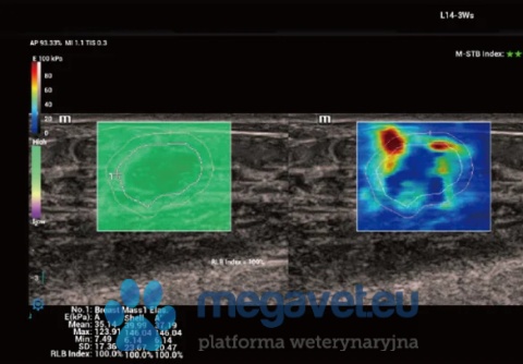 Vetus 9 v. 2.0 - weterynaryjne USG stacjonarne (MWT)
