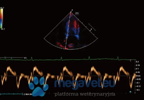 Vetus 9 v. 2.0 - weterynaryjne USG stacjonarne (MWT)