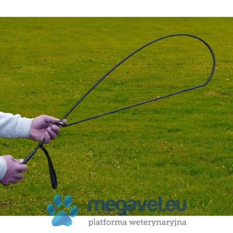 Pętla stalowa Snappy do chwytania większych zwierząt [GWV]