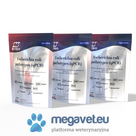 Test qPCR Escherichia coli Pathotypes – E. coli Typing (RVB)