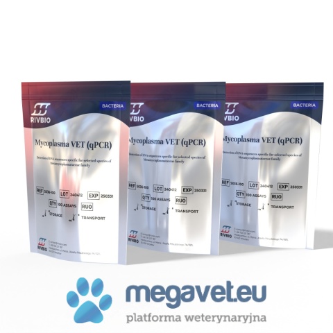 Test qPCR Mycoplasma VET – Wykrywanie Mykoplazm u Zwierząt