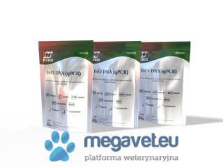 Test FeLV DNA qPCR – Diagnostyka Białaczki Kotów (Prowirus) (RVB)