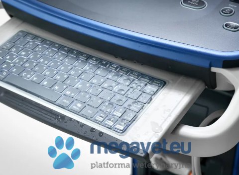 Vetus 5 - veterinary stationary ultrasound (MWT)