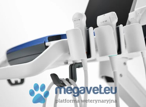 Vetus 5 - veterinary stationary ultrasound (MWT)