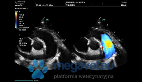 Vetus 50 - weterynaryjne USG stacjonarne (MWT)