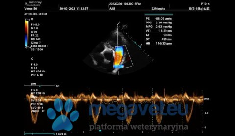 Vetus 50 - weterynaryjne USG stacjonarne (MWT)