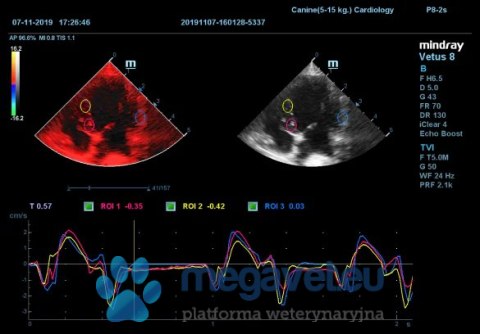 Vetus 8 Expert - weterynaryjne USG stacjonarne (MWT)