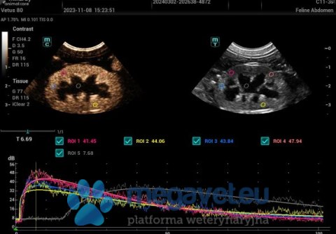 Vetus 80 - weterynaryjne USG stacjonarne (MWT)