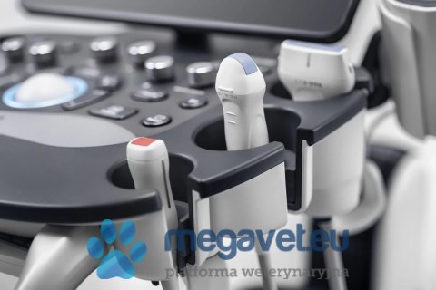 Vetus 80 - weterynaryjne USG stacjonarne (MWT)