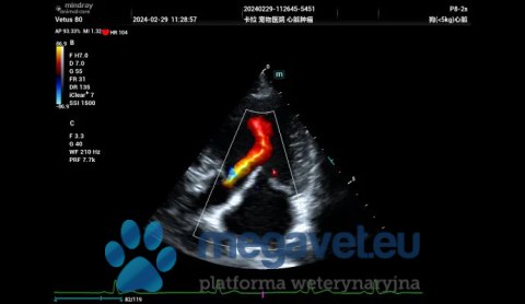Vetus 80 - weterynaryjne USG stacjonarne (MWT)