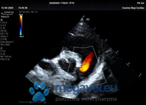 Vetus E3 - przenośne USG weterynaryjne (MWT)