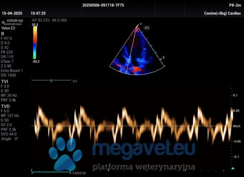 Vetus E3 - przenośne USG weterynaryjne (MWT)