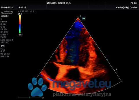 Vetus E3 - przenośne USG weterynaryjne (MWT)