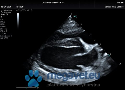 Vetus E3 - przenośne USG weterynaryjne (MWT)