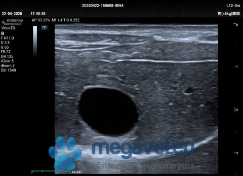 Vetus E3 - przenośne USG weterynaryjne (MWT)