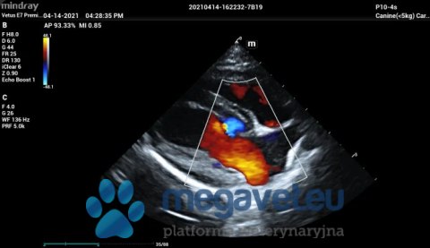 Vetus E7 - przenośne USG weterynaryjne (MWT)