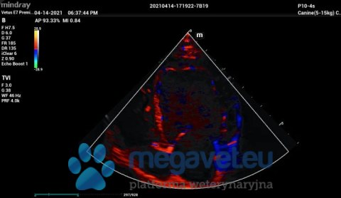 Vetus E7 - przenośne USG weterynaryjne (MWT)