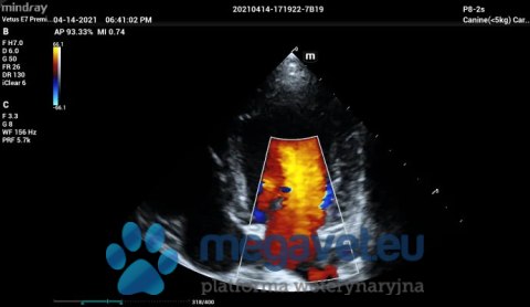 Vetus E7 - przenośne USG weterynaryjne (MWT)