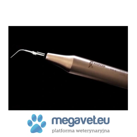 Stomatologiczny skaler weterynaryjny U6 LED [GWV]