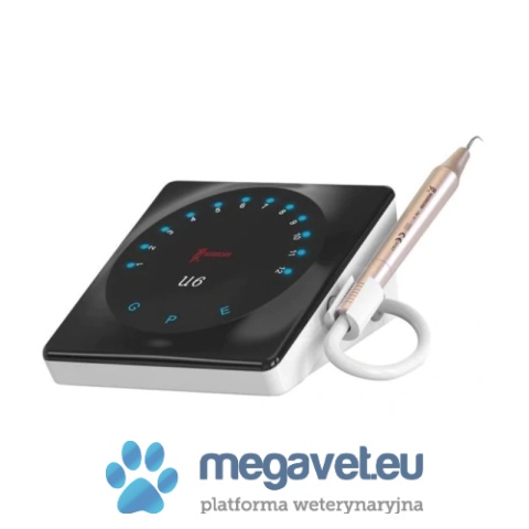 Stomatologiczny skaler weterynaryjny U6 LED [GWV]