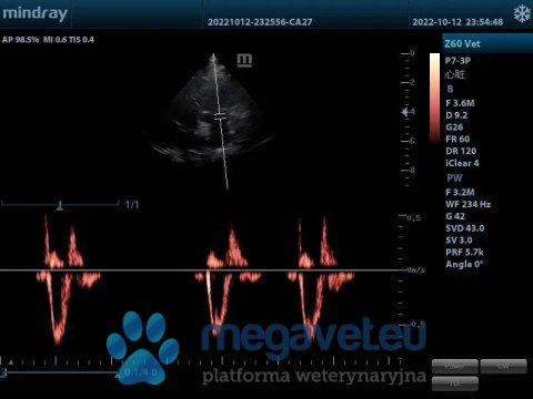 Z60 Vet - przenośne USG weterynaryjne (MWT)